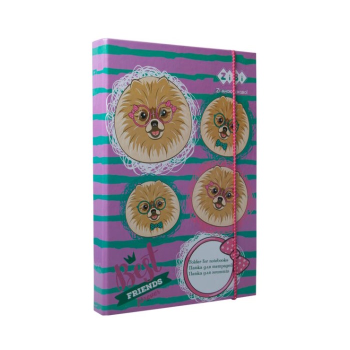 Папка для зошитів «OWL» В5+ картонна на гумках, TM ZiBi