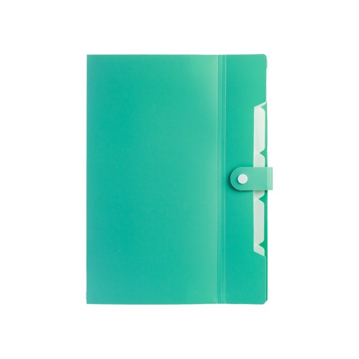 Папка пластикова А4 на 6 відділень на кнопці з розширенням, м'ятна,ТМ Optima