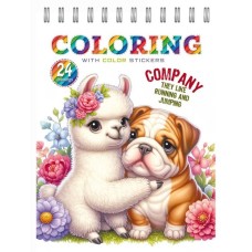 Розмальовка на 12 аркушів з наліпками на спіралі 15х21 см, ТМ Манадрин