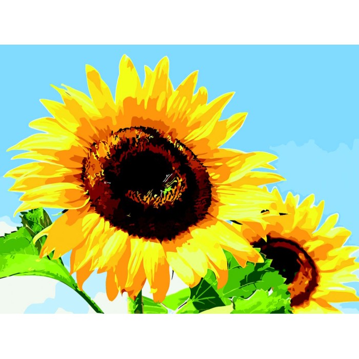 Картина за номерами «Соняхи в ясну погоду», 40х50, ТМ ZiBi