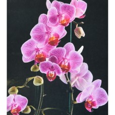 Набір з алмазною мозаїкою «Вишукана орхідея» 40х50 см, ТМ Strateg