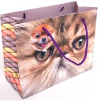 Пакет паперовий 23х18х10 см, ТМ Мандарин