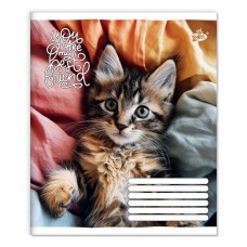 Зошит на 18 аркушів у лінію «Мяу» №2560, ТМ Brisk