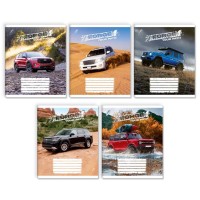 Зошит на 18 аркушів у клітинку «Торуй свій шлях», № 0099, Пір'їнка