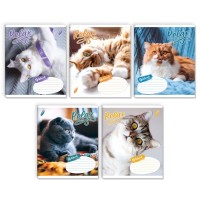 Зошит на 18 аркушів у клітинку «Бути котом», № 0128, Пір'їнка