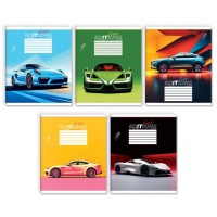 Зошит на 24 аркуші у клітинку «Швидкість», № 0043, Пір'їнка