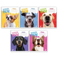 Зошит на 24 аркуші у лінію «Гарний хлопчик», № 0158, Пір'їнка