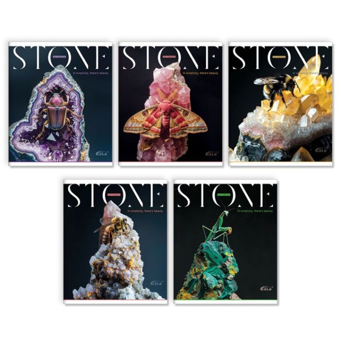 Зошит на 96 аркушів у клітинку «Коштовний камінь», №3543, ТМ Gold Brisk