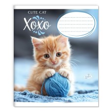 Зошит на 12 аркушів у клітинку «Милий котик» №2527, ТМ Brisk