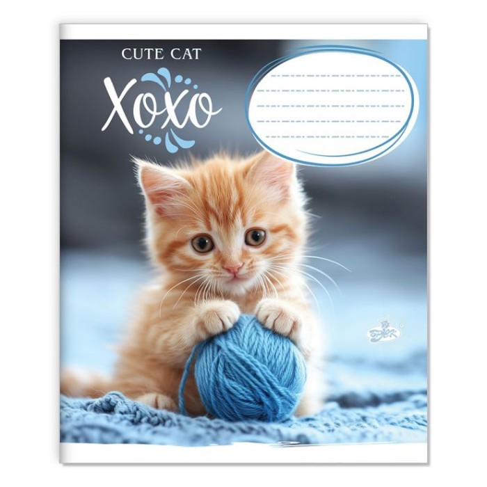 Зошит на 12 аркушів у клітинку «Милий котик» №2527, ТМ Brisk