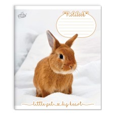 Зошит на 12 аркушів у клітинку «Маленькі улюбленці» №2529, ТМ Brisk