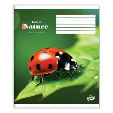 Зошит на 24 аркуші у лінію «Почуй природу» №2577, ТМ Brisk