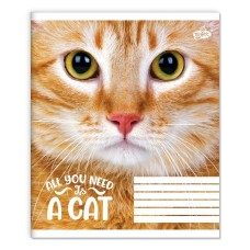 Зошит на 36 аркушів у клітинку «Погляд кота» №2585, ТМ Brisk