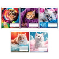 Зошит на 24 аркуші у клітинку «Ти особливий», № 0039, Пір'їнка