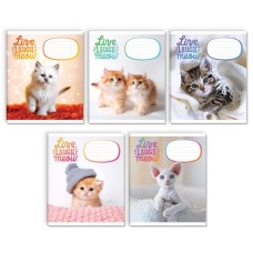 Зошит на 12 аркушів у косу «Кошенята», №3512 ТМ Gold Brisk