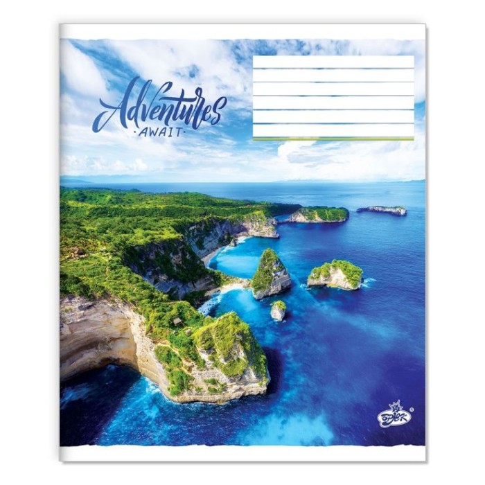 Зошит на 24 аркуші у клітинку «Горизонт» №2566, ТМ Brisk