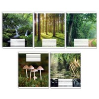 Зошит на 24 аркуші у лінію «Зачарований ліс», №3524, ТМ Gold Brisk