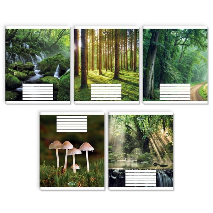 Зошит на 24 аркуші у лінію «Зачарований ліс», №3524, ТМ Gold Brisk