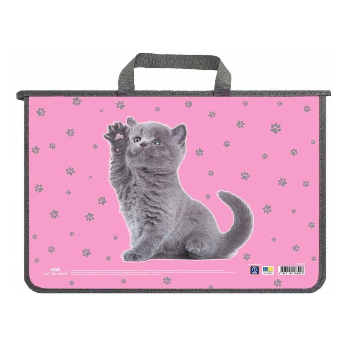 Папка-портфель А4 пластиковий на блискавці, ТМ MAXI