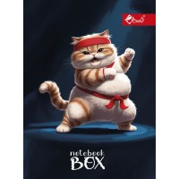 Папка для зошитів «Кунг-фу кіт » В5 картонна на гумці, ТМ Скат