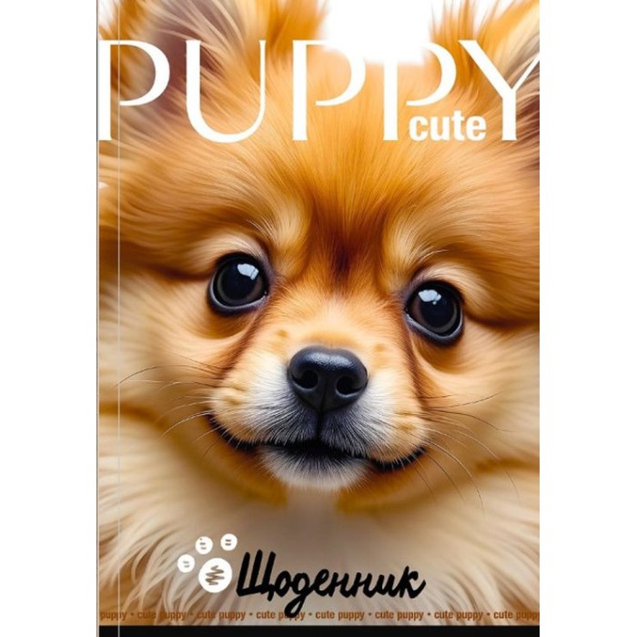 Щоденник шкільний 16,5х24 см на 40 аркушів з матовою ламінацією, ТМ Мандарин