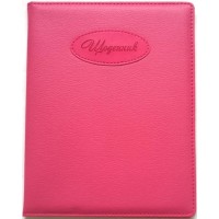 Щоденник шкільний на 48 аркушів 167х211 мм з обкладинкою зі шкірзаму, ТМ Мандарин