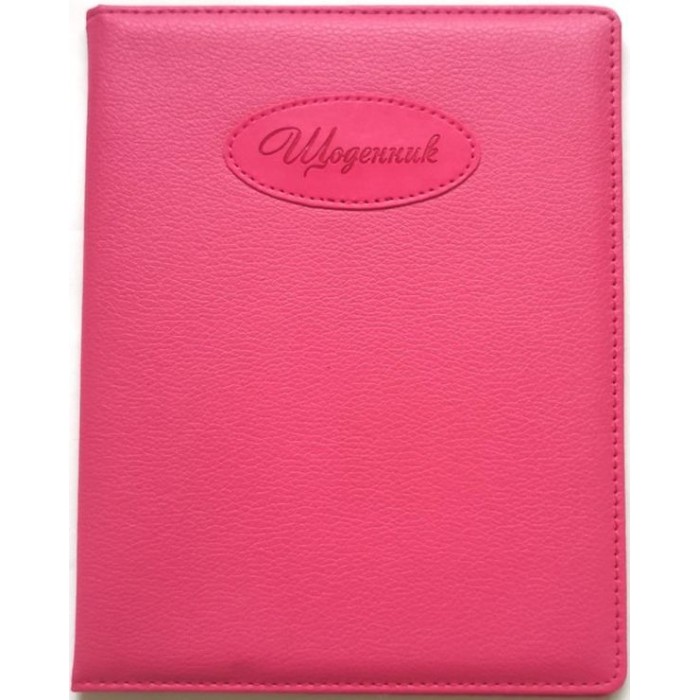 Щоденник шкільний на 48 аркушів 167х211 мм з обкладинкою зі шкірзаму, ТМ Мандарин