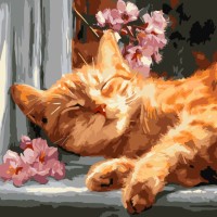 Картина за номерами «Рудий кіт на підвіконні» 40х40 см, ТМ Ідейка