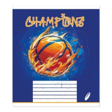 Зошит на 36 аркушів у клітинку «Мікс» №0211, Пір'їнка