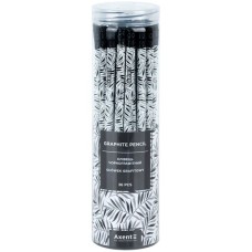 Олівець графітний «Black Leaves» HB, у тубусі, ТМ Axent