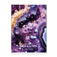 Канцелярська книга у клітинку на 96 аркушів на скобі з картонною обкладинкою, №4135-3,4, в асортименті, ТМ Gold Brisk