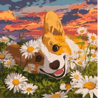 Картина за номерами «Коргі у ромашках» 40х40 см, ТМ Ідейка