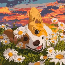 Картина за номерами «Коргі у ромашках» 40х40 см, ТМ Ідейка