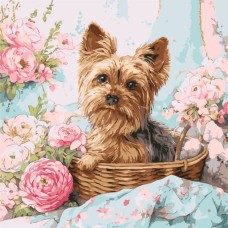 Картина за номерами «Йорк у кошику» 40х40 см, ТМ Ідейка