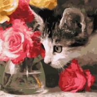 Картина за номерами «Пухнастий дослідник» 40х40 см, ТМ Ідейка