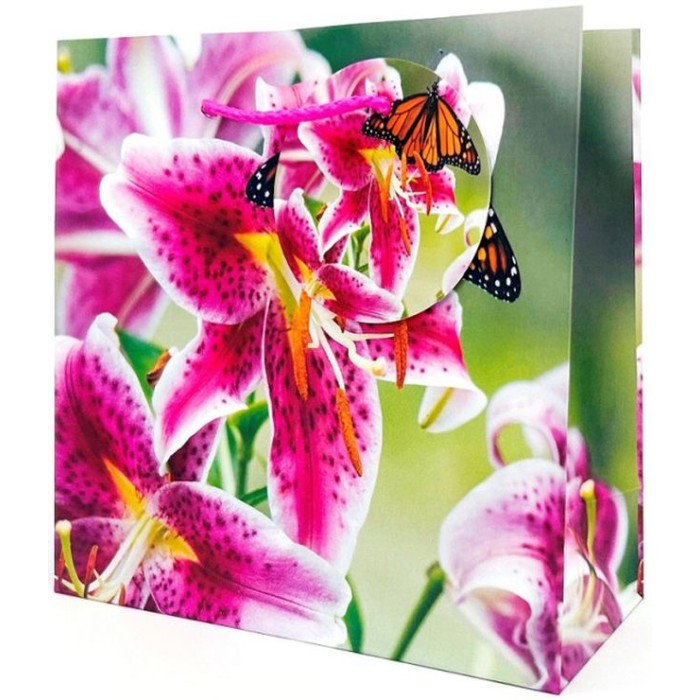 Пакет паперовий 16х16х7 см, ТМ Мандарин