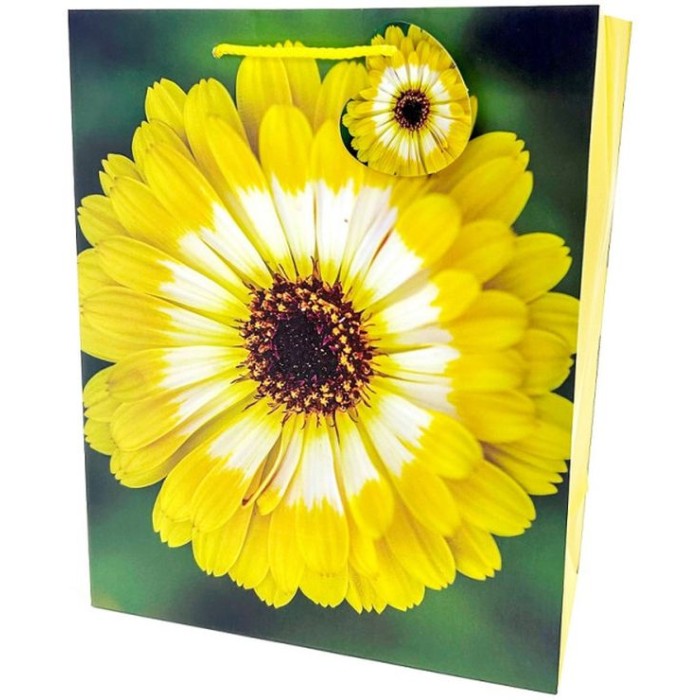 Пакет паперовий 26х32х12 см, ТМ Мандарин