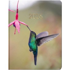 Щоденник датований «Колібрі» А5 на 336 сторінок з картонною обкладинкою, ТМ Economix