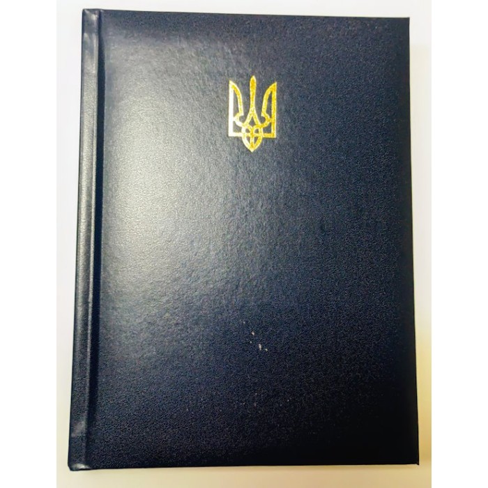 Щоденник недатований «POWERFUL» A5 на 336 арушів з обкладинкою зі шкірзаму, синій, ТМ Buromax