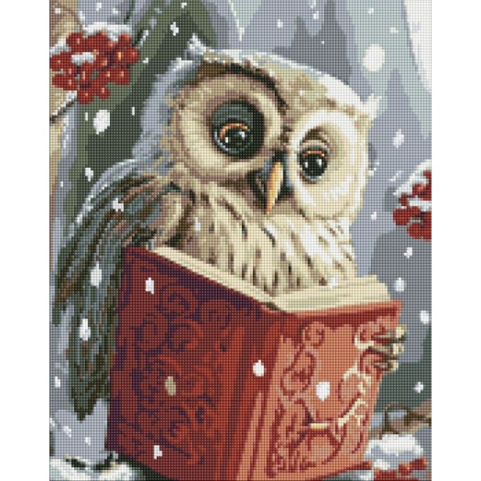 Набір з алмазною мозаїкою «Розумна совушка» з АВ стразами 40х50 см, ТМ Ідейка