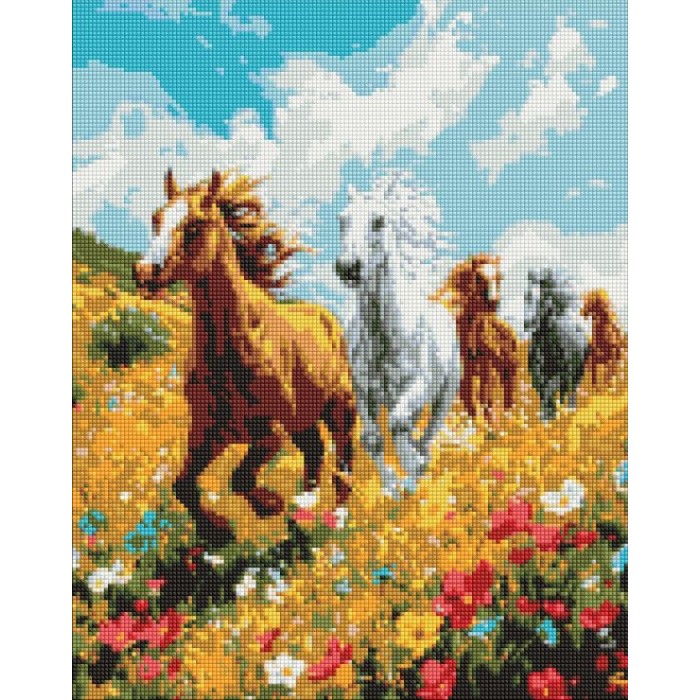 Набір з алмазною мозаїкою «Польова гармонія» 40х50 см, ТМ Ідейка