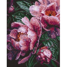 Набір з алмазною мозаїкою «Рожеві півонії під дощем» 40х50 см, ТМ Ідейка
