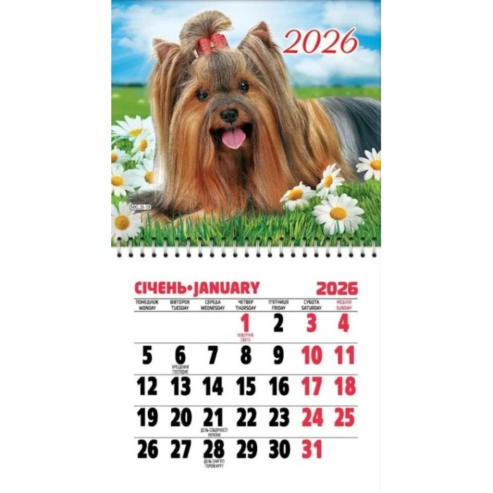 Календар 11х20 см на магніті