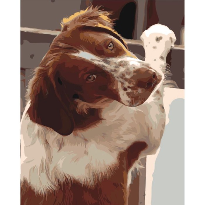 Картина за номерами «Відданий погляд» 40х50 см, ТМ Strateg