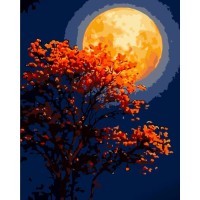 Картина за номерами «Червона повня» 40х50 см, ТМ Strateg