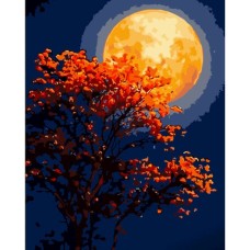 Картина за номерами «Червона повня» 40х50 см, ТМ Strateg