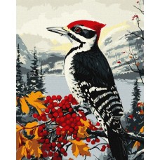 Картина за номерами «Дятел на гілці» 40х50 см, ТМ Ідейка