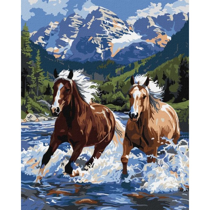 Картина за номерами «Сила в русі» 40х50 см, ТМ Ідейка