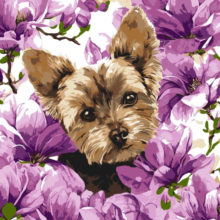 Картина за номерами «Йорк у магноліях» 40х40 см, ТМ Ідейка