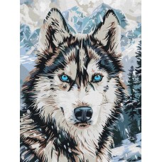 Картина за номерами «Очі півночі» 30х40 см, ТМ Ідейка